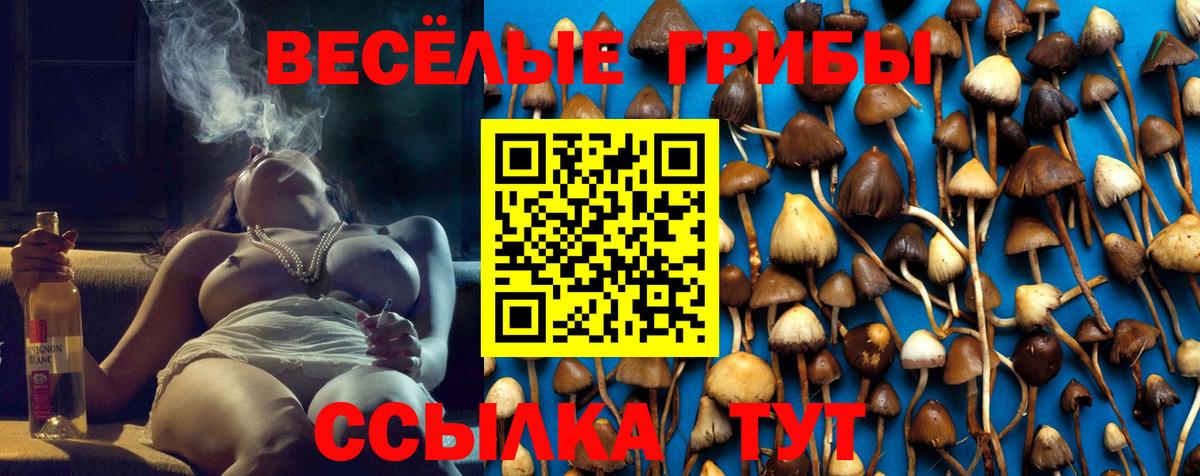 Гулькевичи  Псилоцибиновые грибы мицелий  Вход с VPN 