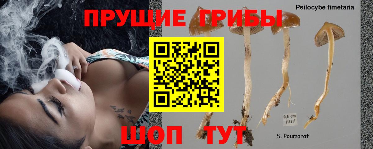 Галлюциногенные грибы прущие грибы Гулькевичи